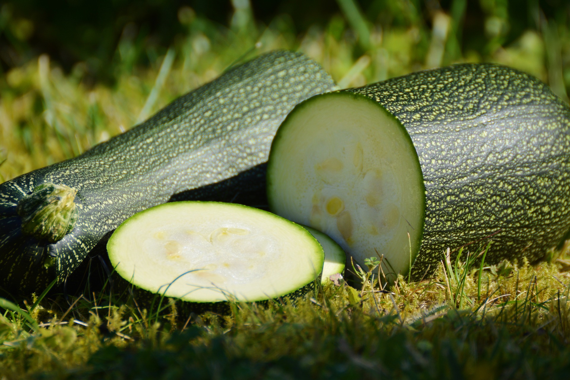 If You Eat Zucchini Every Day, This Happens To Your Body