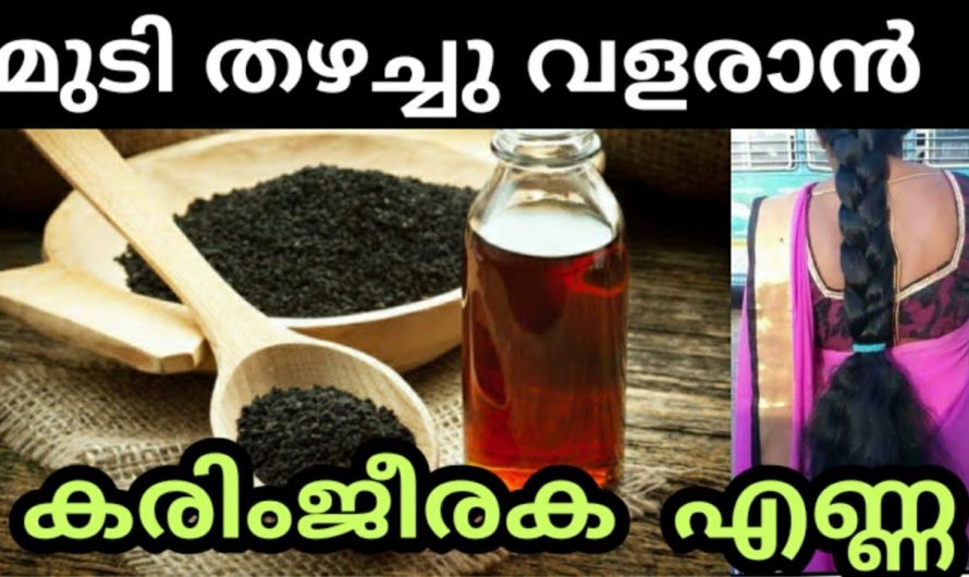 ഇനി മുടിയുടെ കാര്യത്തിൽ ഒട്ടും ടെൻഷൻ വേണ്ട ഇതാ കിടിലൻ ഒറ്റമൂലി…