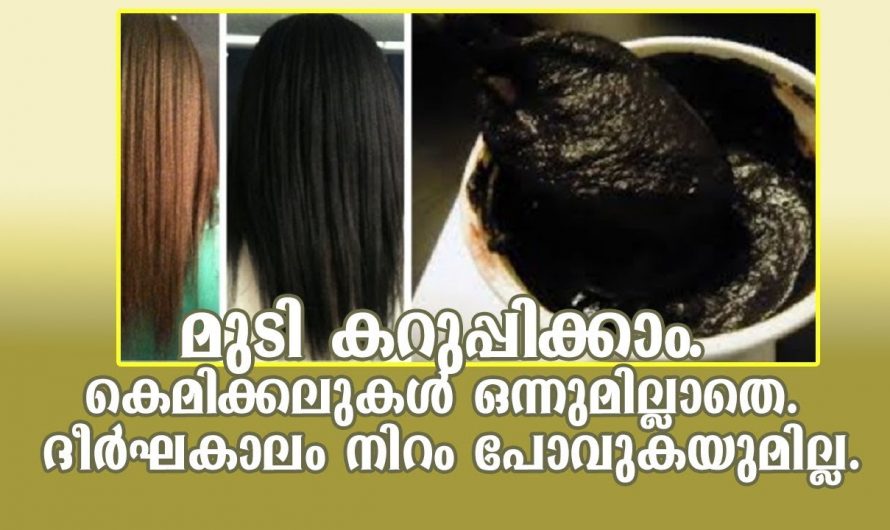 മുടിയിലെ പരിഹരിക്കാൻ പ്രകൃതിദത്ത ഒറ്റമൂലി..