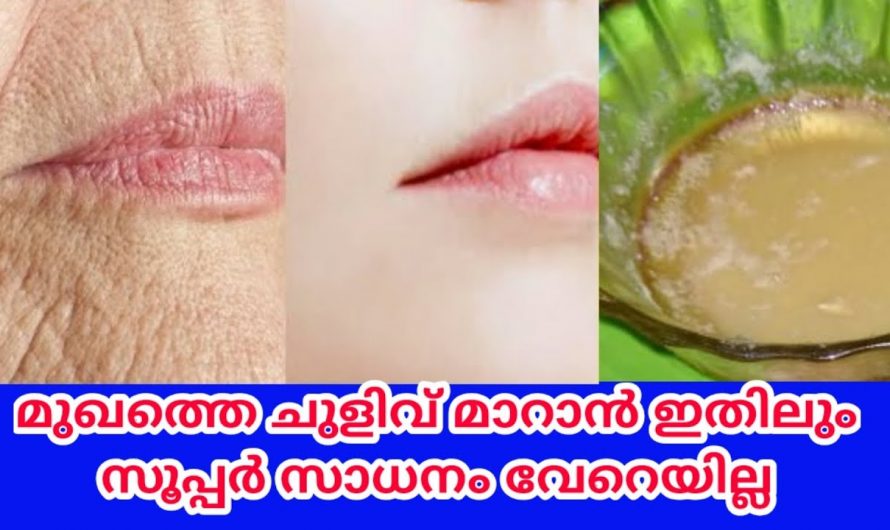 ചർമ്മത്തിലെ ചുളിവുകളും വരകളും നീക്കി യവ്വനം നിലനിർത്താൻ കിടിലൻ വഴി…