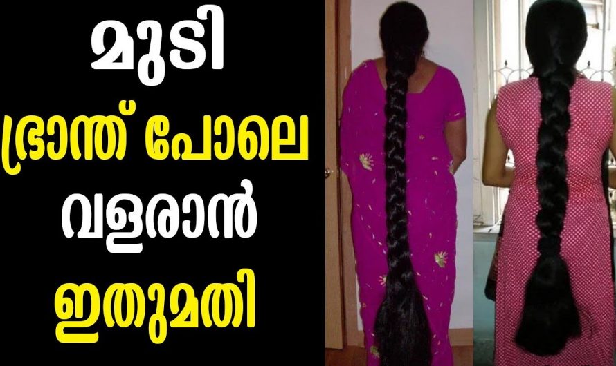 മുടി വളർച്ച ഇരട്ടിയാക്കുന്നതിന് ഇതാ കിടിലൻ മാർഗ്ഗം..