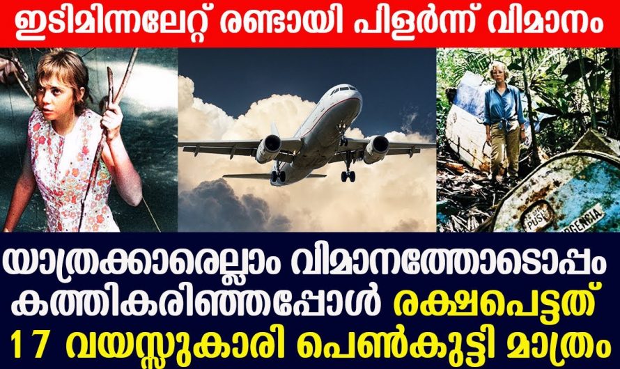 10000 അടി താഴ്ചയിലേക്ക് വിമാനം തകർന്നുവീണപ്പോൾ.