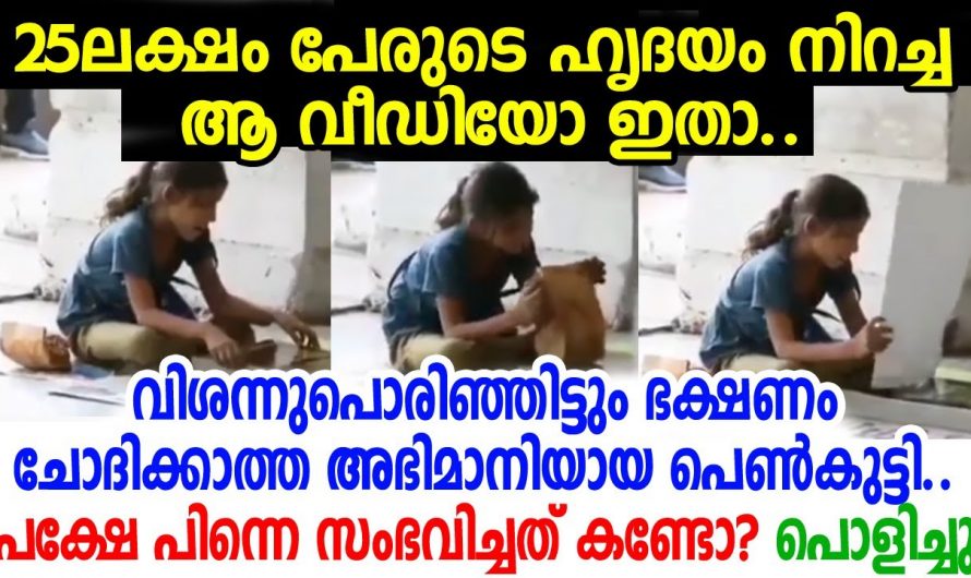 ഒരു നേരത്തെ ഭക്ഷണത്തിന് വേണ്ടി  തെരുവോരങ്ങളിൽ ജോലി ചെയ്യുന്ന ഈ പെൺകുട്ടിക്ക് സംഭവിച്ചത് കണ്ടോ.