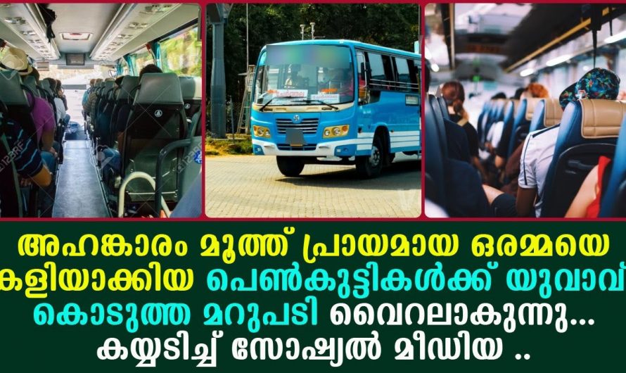 ഇങ്ങനെയുള്ളവർക്ക് ഇതിലും നല്ല മറുപടി വേറെയില്ല..