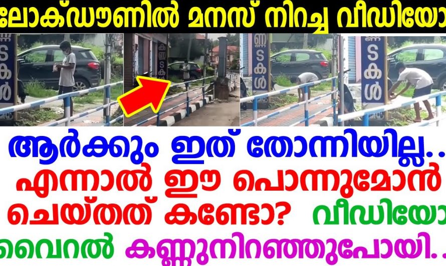 ഇങ്ങനെയുള്ള കുട്ടികൾ പുത്തൻ തലമുറയിൽ  വളരെയധികം മാതൃകയായി നിലനിൽക്കുന്നതായിരിക്കും .