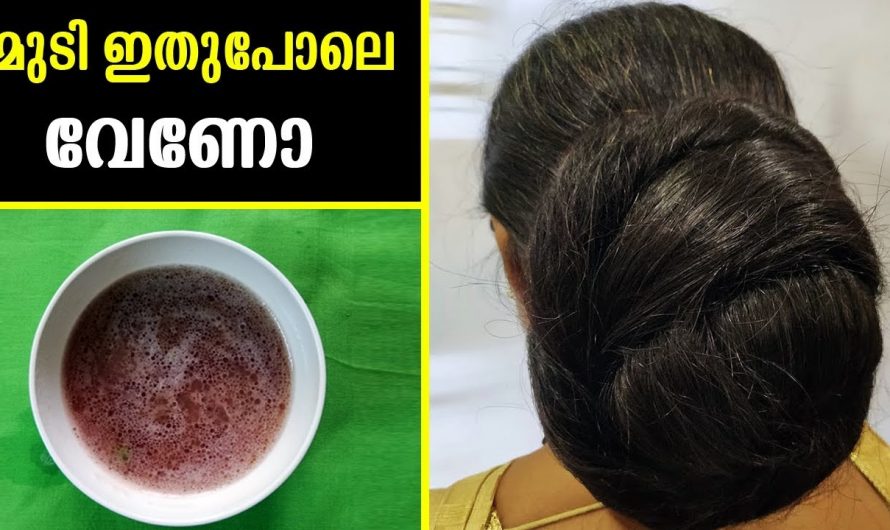 തലമുടിയിലെ താരനും മറ്റു പ്രശ്നങ്ങളും പരിഹരിച്ച് മുടി വളർച്ച ഇരട്ടിയാക്കാൻ..