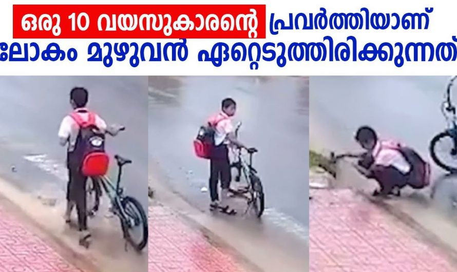 ഈ കുട്ടിയുടെ പ്രവർത്തിയ്ക്ക് പ്രത്യേക അഭിനന്ദനങ്ങൾ നൽകണം..