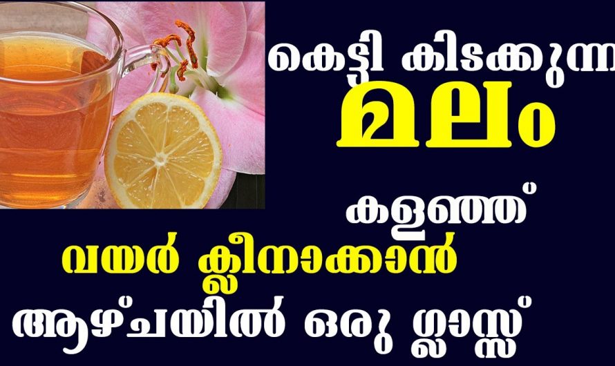 മലബന്ധവും  ഗ്യാസ്ട്രബിളും  എളുപ്പത്തിൽ പരിഹരിക്കാം…