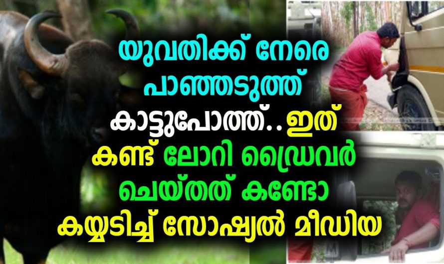 ഈ  യുവാവ് ചെയ്ത പ്രവർത്തി ആരെയും വളരെയധികം ഞെട്ടിക്കും