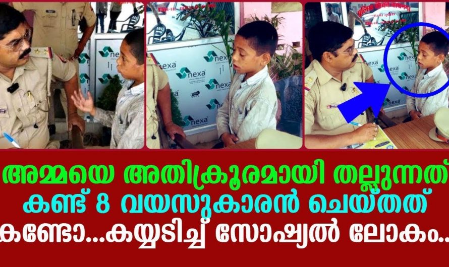 അമ്മയെ ക്രൂരമായി തല്ലുന്നത് കണ്ടപ്പോൾ ഈ മകൻ ചെയ്തത് കണ്ടോ .