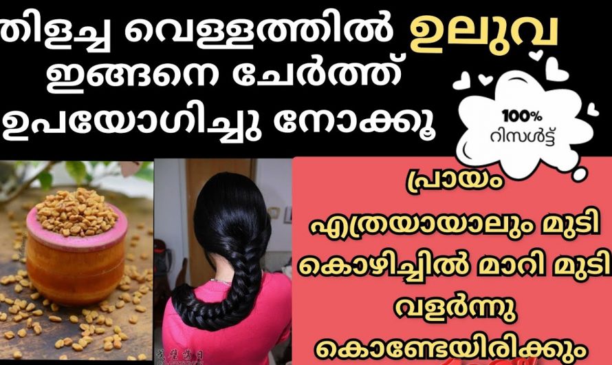 നല്ല മുടി ആഗ്രഹിക്കുന്നവർ ആണെങ്കിൽ ഇത് കിടിലൻ വഴി…