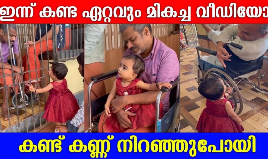 ഈ കുഞ്ഞിന്റെ ബർത്ത് ഡേ ആഘോഷം കണ്ടാൽ ആരും ഒന്ന് അതിശയിക്കും..