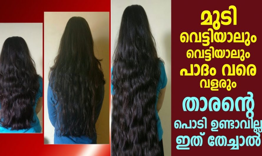 മുടിക്ക് വേണ്ടി ഇനി ഒട്ടും പണം ചെലവഴിക്കേണ്ട ഇതാ മുടി വളർച്ചയ്ക്ക്   ഒരു കിടിലൻ മാർഗ്ഗം..