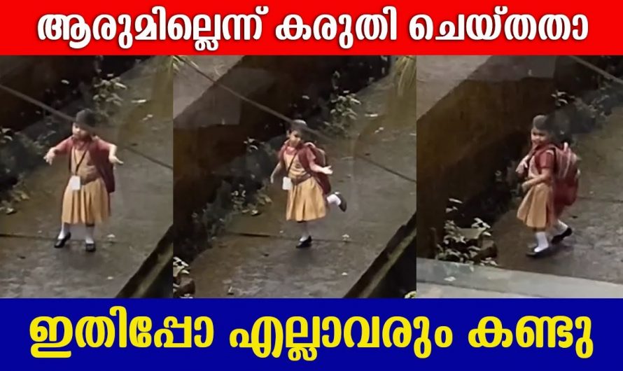 നമ്മുടെ ആഗ്രഹങ്ങളും സ്വപ്നങ്ങളും മടിയും ചമ്മലും ഇല്ലാതെ പ്രകടിപ്പിക്കുന്നത് വലിയൊരു ഭാഗ്യമാണ്