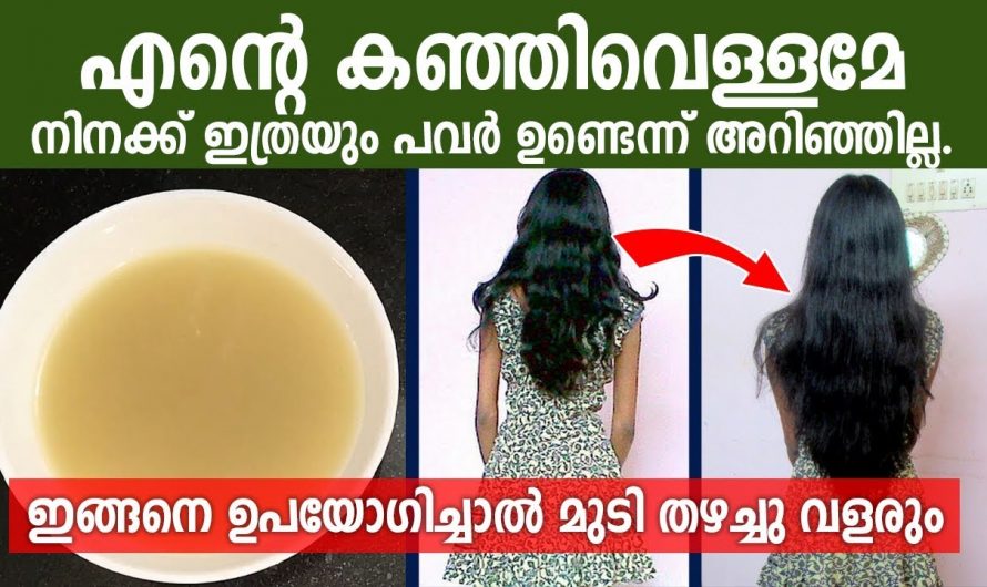 നല്ല മുടി ആഗ്രഹിക്കുന്നവർ ആണെങ്കിൽ ഈ ഒരു ഒറ്റമൂലി ഉപയോഗിച്ച് നോക്കൂ..