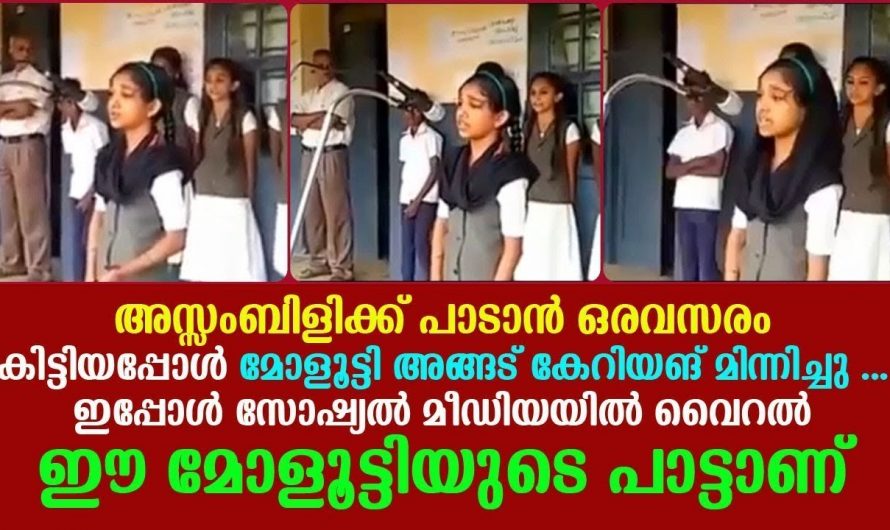 ഈ കൊച്ചു മിടുക്കിയുടെ കഴിവ് കണ്ട് അന്തംവിട്ട് സോഷ്യൽ ലോകം..