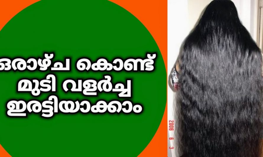 നല്ല ആരോഗ്യമുള്ള മുടി നിലനിർത്തുന്നതിന് കിടിലൻ വഴി.