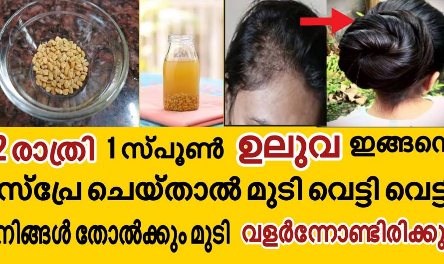 പൊട്ടുന്ന മുടിയും വരണ്ട മുടിയുംനല്ല ആരോഗ്യമുള്ള മുടി ലഭിക്കാൻ…