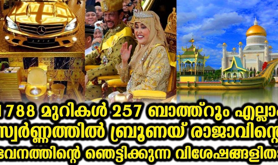 ഈ വീടിനെ കൊട്ടാരം എന്ന പേര് പോലും ഒരു കുറവാണ്.