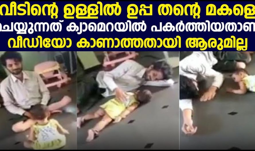 ഇങ്ങനെയുള്ള സ്നേഹബന്ധങ്ങൾ കുഞ്ഞുങ്ങളുടെ ജീവിതത്തിൽ അത്യാവശ്യമാണ്..