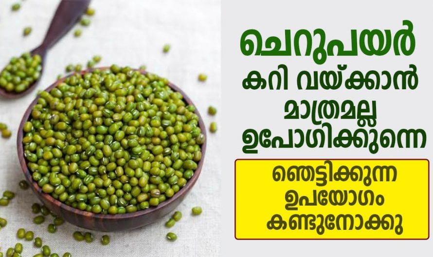 ആരോഗ്യ സംരക്ഷണത്തിനും മാത്രമല്ല മുടിക്കും ചർമ്മത്തിനും ഇത് അത്യുത്തമം.