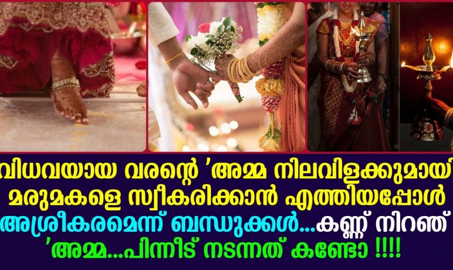 ഈ മകനും നവവധുവും  ചേർന്നു ചെയ്തത് കണ്ടോ…