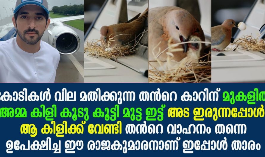 ഇങ്ങനെയും ചില നന്മയുള്ള മനുഷ്യർ ഈ ലോകത്തിലുണ്ട്..