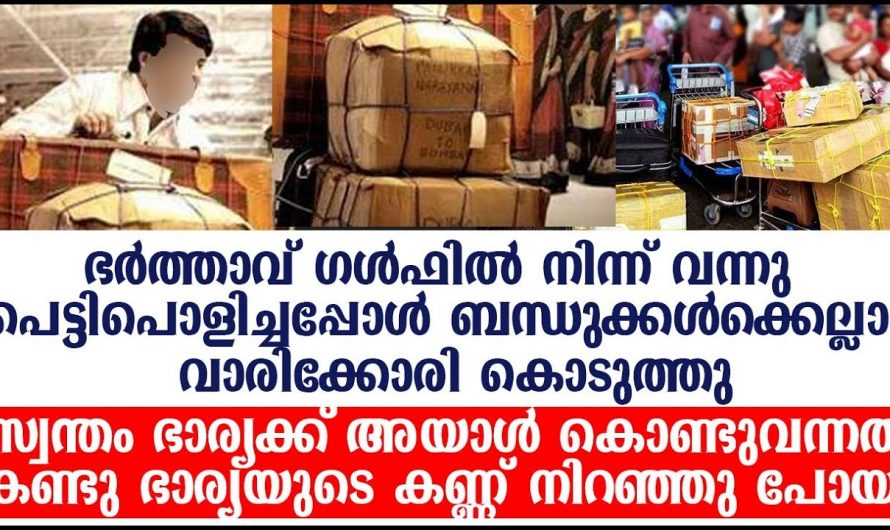 ഓരോ പ്രവാസിയുടെയും   തിരിച്ചുവരവ് എങ്ങനെയാണെന്ന് അറിയാമോ..