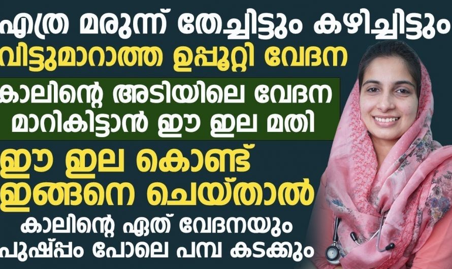 ഉപ്പൂറ്റി  വേദന എങ്ങനെ എളുപ്പത്തിൽ പരിഹരിക്കാം..