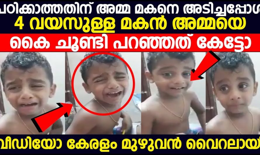 ഈ വീഡിയോ കണ്ടാൽ ആരും ഒന്നും പൊട്ടിച്ചിരിക്കും.