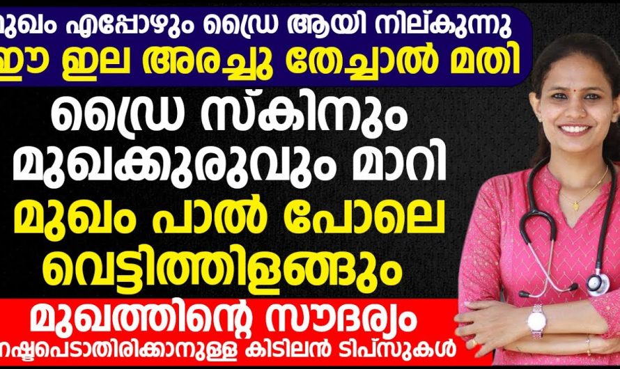 സ്കിന്നിൽ ഉണ്ടാകുന്ന വരൾച്ച എളുപ്പത്തിൽ പ്രതിരോധിക്കാം…