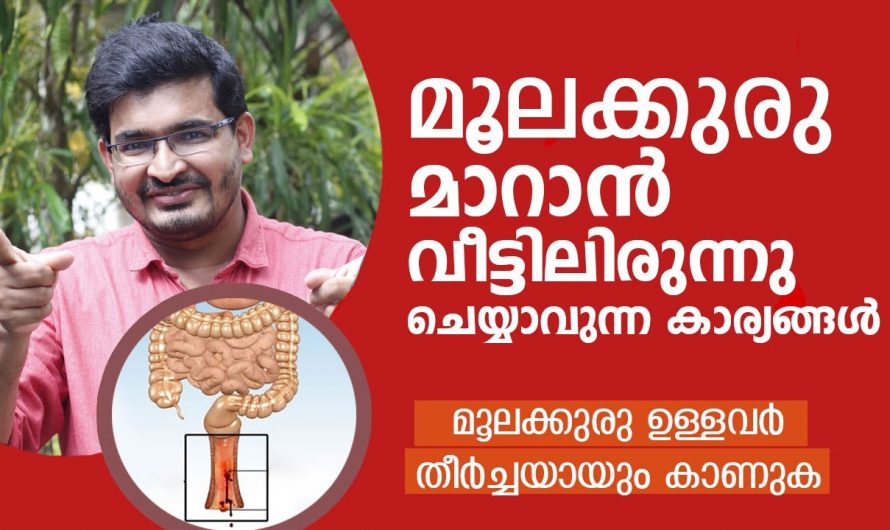 മൂലക്കുരുവും ഫിഷറും  എളുപ്പത്തിൽ പരിഹരിക്കാൻ….