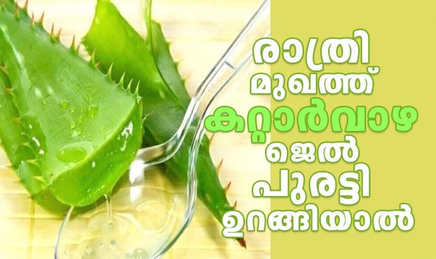 മുഖസൗന്ദര്യം ഇരട്ടിയാക്കാൻ ഇതാ കിടിലൻ വഴി…