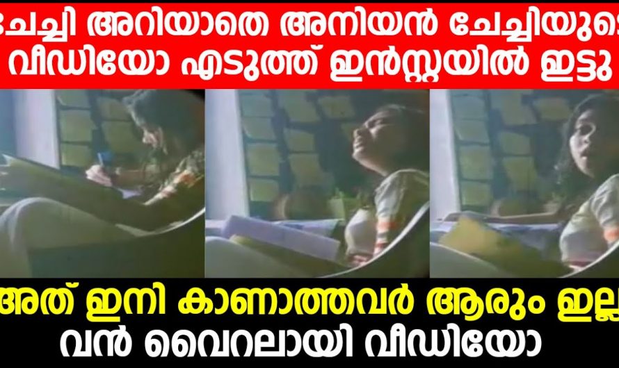 ചേച്ചിയുടെ പാട്ട് വൈറലാക്കി കുഞ്ഞനുജൻ എന്നാൽ പിന്നീട് സംഭവിച്ചത്….