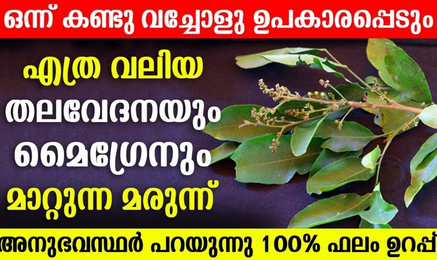 മൈഗ്രേൻ തലവേദന പരിഹരിച്ച് ആരോഗ്യം സംരക്ഷിക്കാൻ…