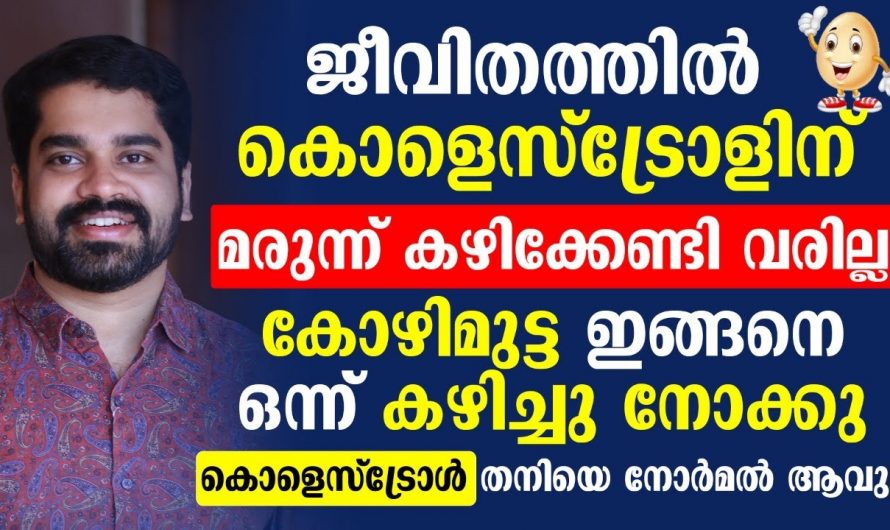 കൊളസ്ട്രോൾ  കുറയ്ക്കുന്നതിന് ഈ ഭക്ഷണം ശീലമാക്കുക..