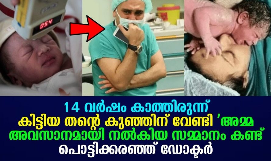 14  വർഷത്തെ കാത്തിരിപ്പിന് ഒടുവിൽ അമ്മയാകുന്നതിനുവേണ്ടി സ്ത്രീ ചെയ്തത് കണ്ടോ..