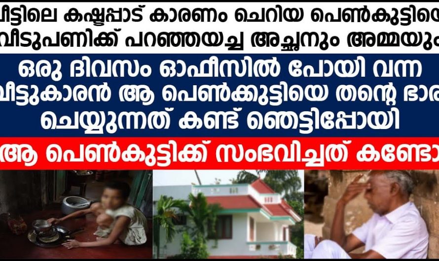 12 വയസ്സുള്ള പെൺകുട്ടി വീട്ടു ജോലിക്ക് പോയപ്പോൾ സംഭവിച്ചത്.