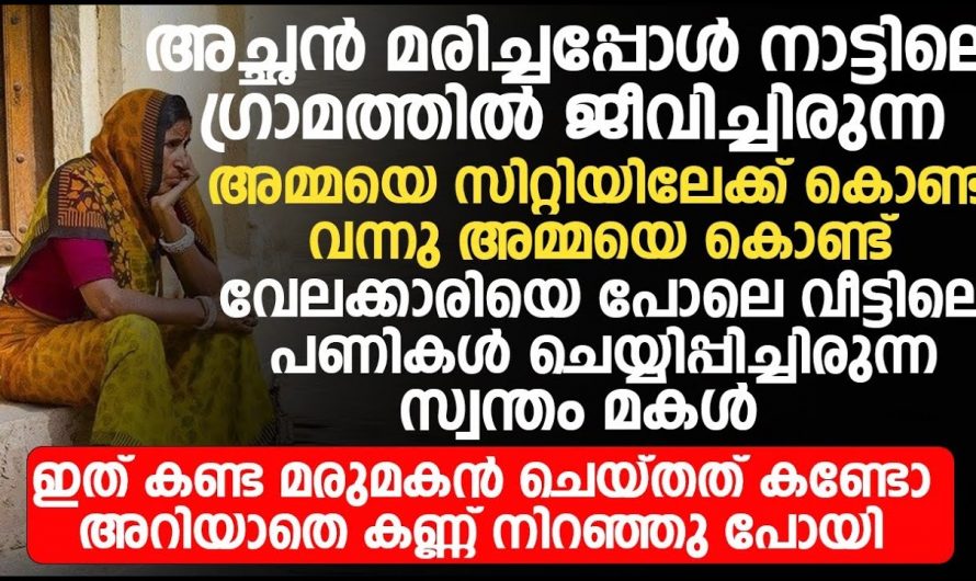 അച്ഛന്റെ മരണശേഷം മകൾ അമ്മയെ വീട്ടിലേക്ക് കൊണ്ടുപോയി എന്നാൽ ആ അമ്മയ്ക്ക് അവിടെ സംഭവിച്ചത്…