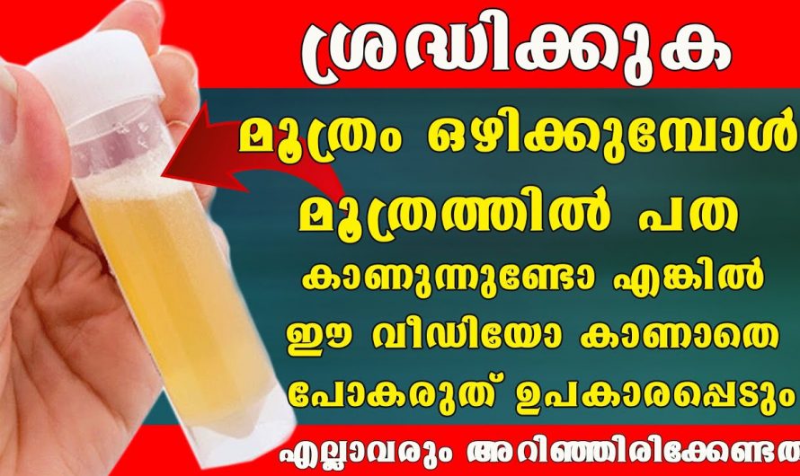 സ്ഥിരമായി മൂത്രത്തിൽ പത കാണുന്നുണ്ടോ എങ്കിൽ ശ്രദ്ധിക്കണം