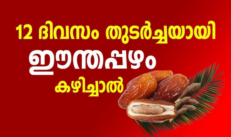 ദിവസം വലിപ്പം ഈത്തപ്പഴം കഴിച്ചാൽ ലഭിക്കുന്ന ഗുണങ്ങൾ.