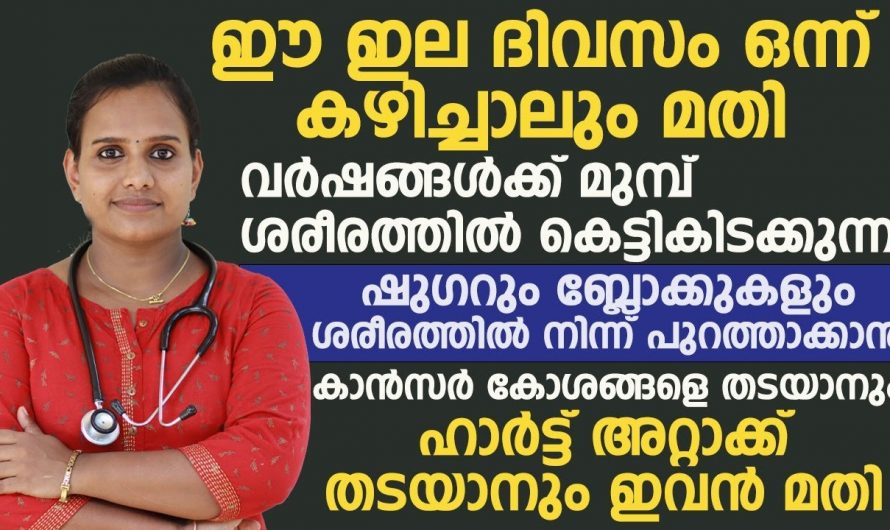 പേരയിലയുടെ  ഔഷധഗുണങ്ങളും ഔഷധപ്രയോഗങ്ങളും.