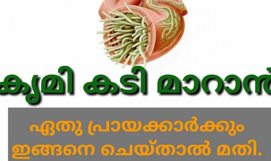 കുട്ടികളിലെയും മുതിർന്നവരിലേയും വിരശല്യം കൃമികടി പരിഹരിക്കാൻ..