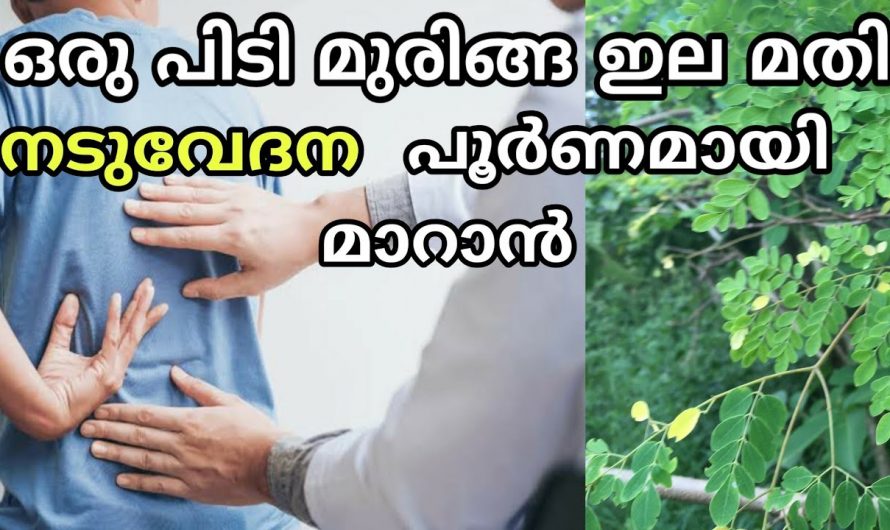 എത്ര കടുത്ത ശരീരവേദനകളും എളുപ്പത്തിൽ പരിഹരിക്കാൻ…