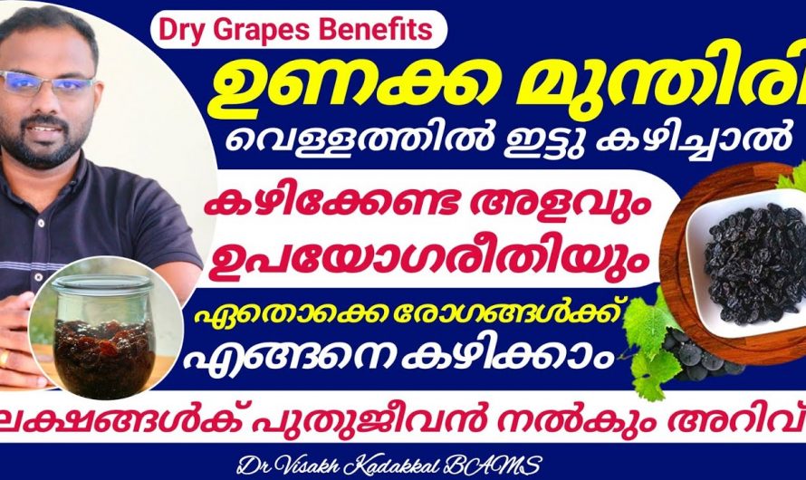 ഉണക്ക മുന്തിരി ദിവസം കഴിച്ചാൽ ലഭിക്കുന്ന ഗുണങ്ങൾ..