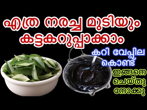 മുടിയിലെ നരപരിചിച്ച് മുടിയേ സംരക്ഷിക്കാൻ..