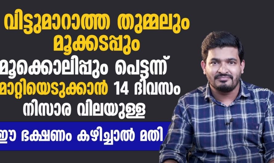 അലർജിയുടെ കാരണങ്ങളും പരിഹാരമാർഗ്ഗങ്ങളും വളരെ എളുപ്പത്തിൽ…