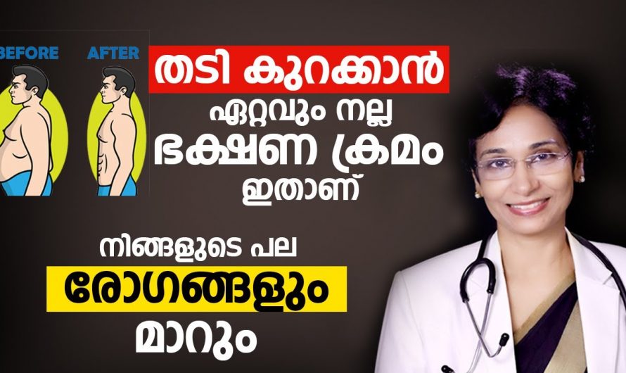 തടി കുറയ്ക്കുന്നതിന് ഇത്തരം ഭക്ഷണങ്ങൾ ശീലമാക്കുക..