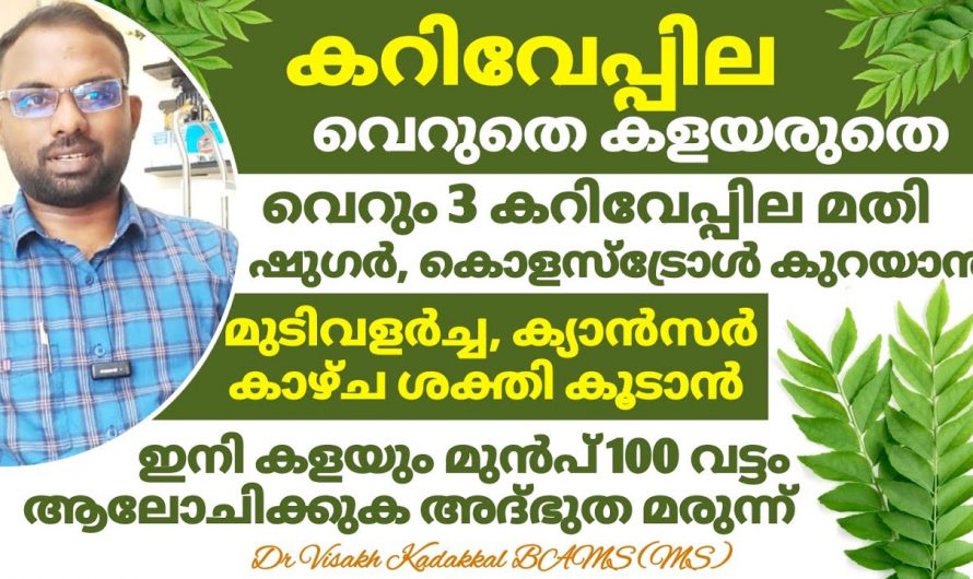 ഷുഗറും കൊളസ്ട്രോളും മൂന്ന് കറിവേപ്പില കൊണ്ട് മാറ്റിയെടുക്കാം