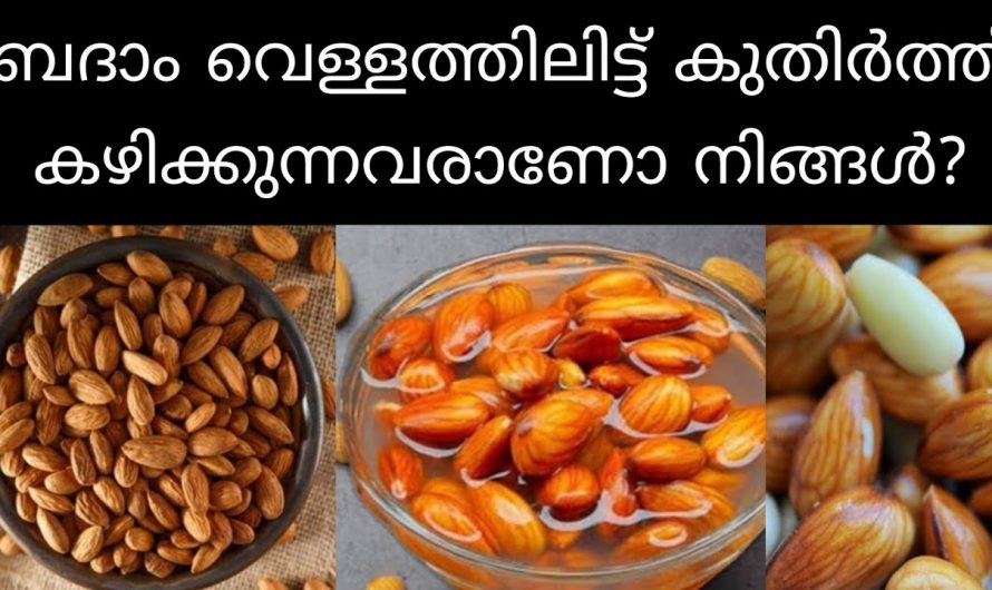 ബദാം കുതിർത്ത് കഴിച്ചാൽ ലഭിക്കുന്ന ഗുണങ്ങൾ.